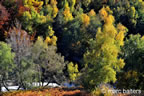 cevennes, automne, 2025,